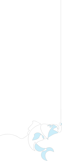 Stylized natural elements graphic