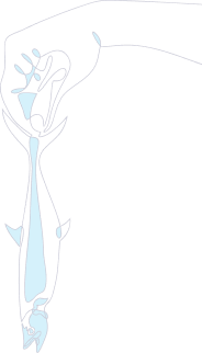 Stylized leaf graphic